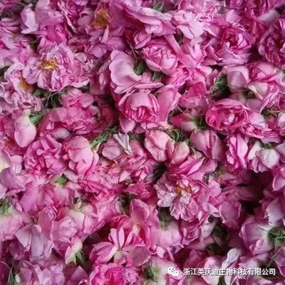 1668313367747772.jpg 微信圖片_20221113122025.jpg